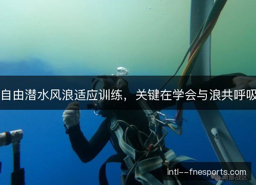 自由潜水风浪适应训练，关键在学会与浪共呼吸
