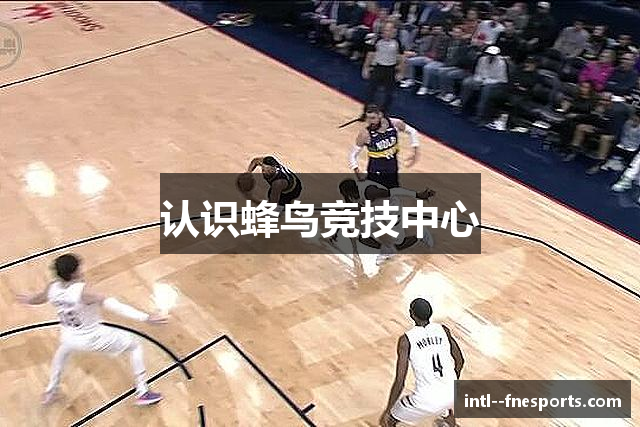 认识蜂鸟竞技中心